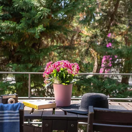 Sani & Sani Woods (adults Only)