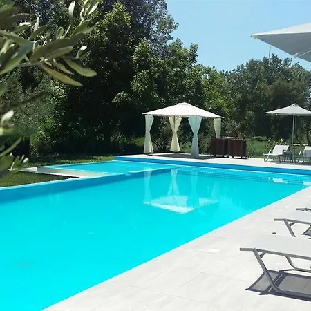 Sani & Sani Woods (adults Only) Sani (Chalkidiki)