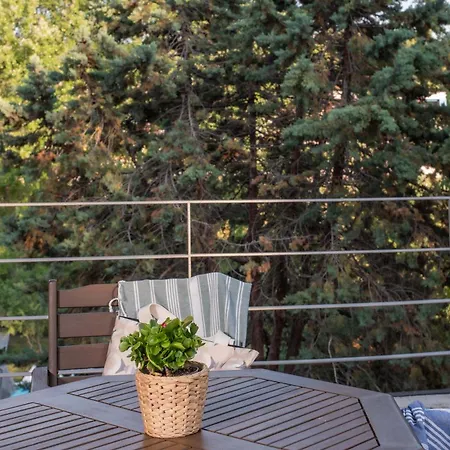 Sani & Sani Woods (adults Only) Hotel de apartamente