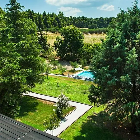 Sani & Sani Woods (adults Only) 3*